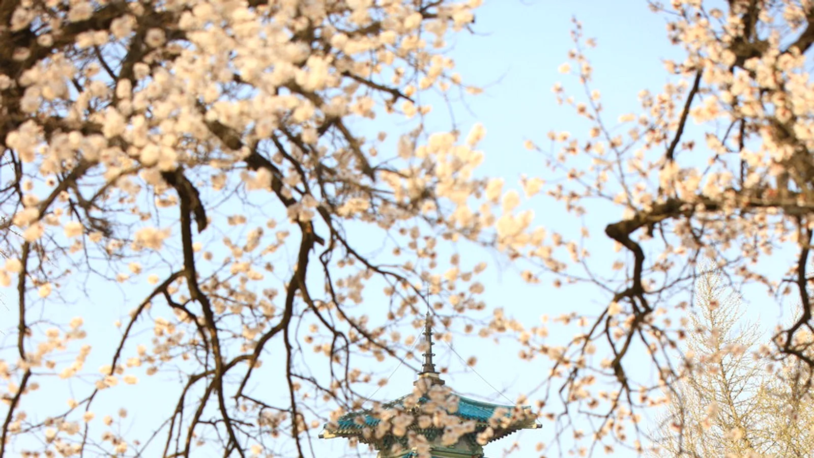 Seoul in 3 Days: A First-Timer Itinerary That Groups Sights by Neighborhood