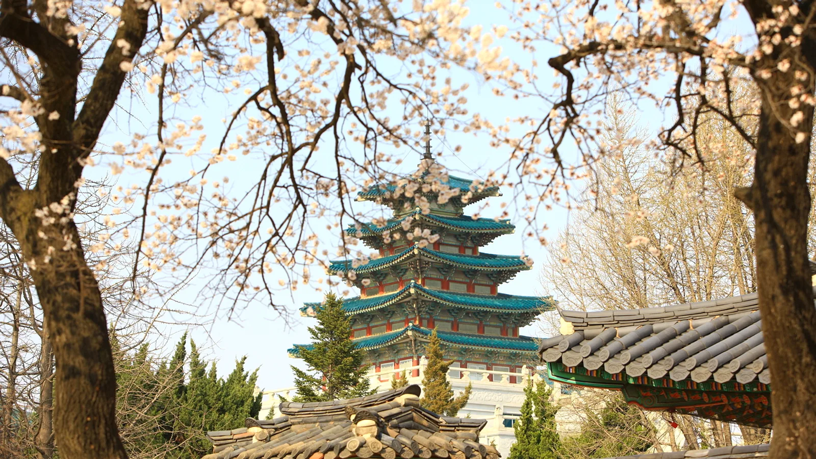 景福宮:守門将交代式、韓服で無料入場、おすすめの見学順