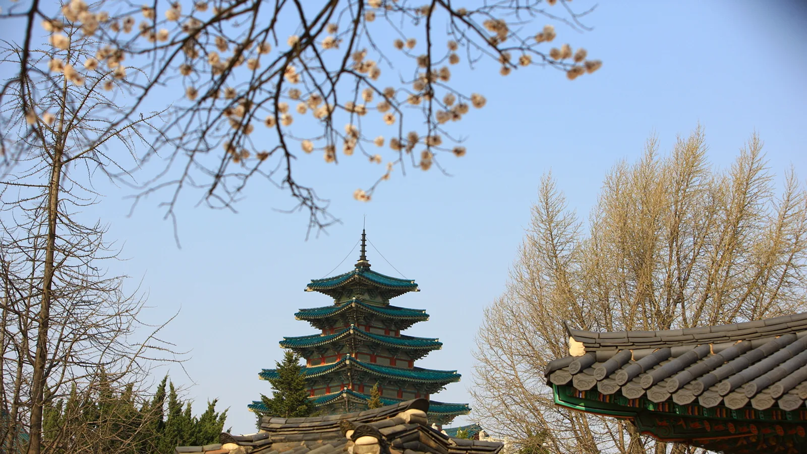 KTX로 서울에서 부산·경주까지: 예약, 역 선택, 짐 보관 팁