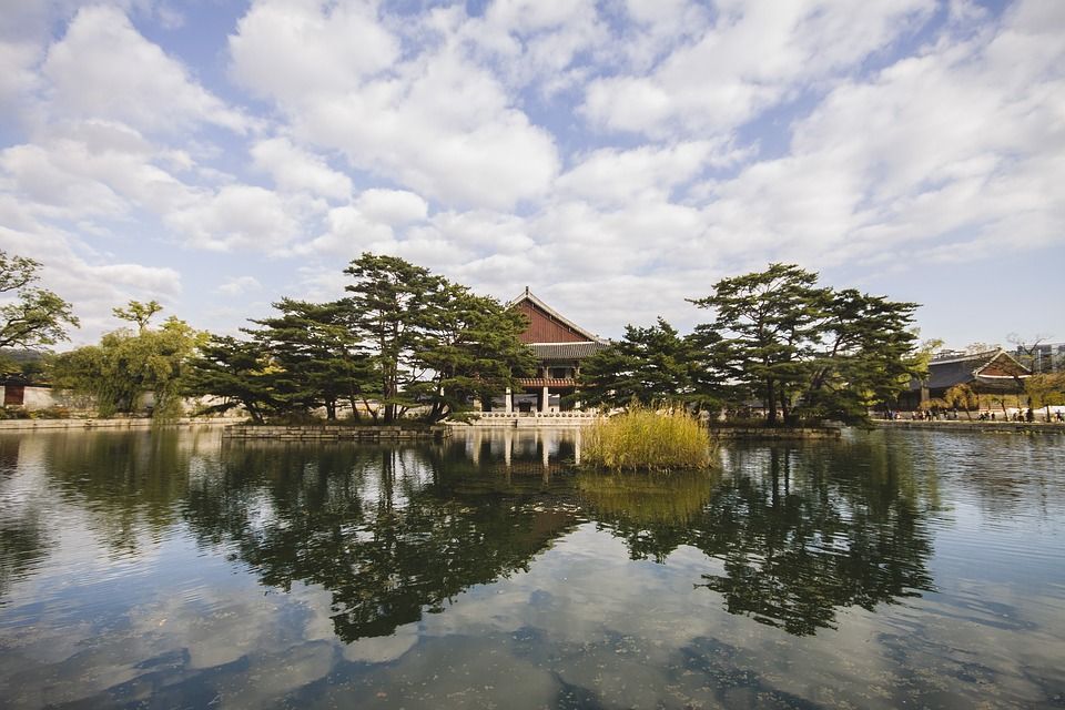 Discover the Hidden Oasis of Seoul’s Parks and Nature Reserves