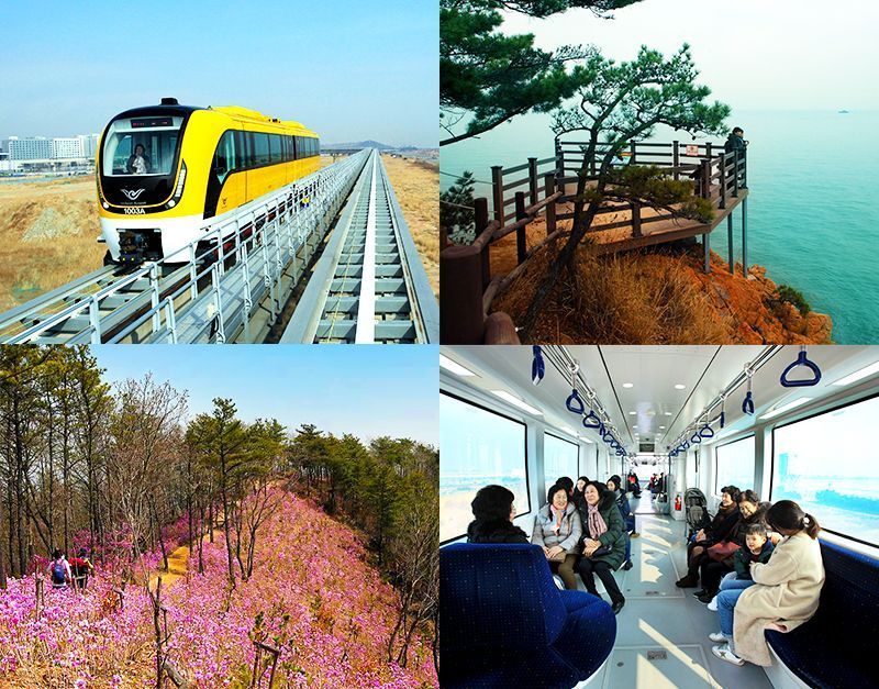 A half-day island trip on the Airport Railroad, Muuido and Jangbongdo Islands in Incheon