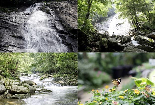Beat the heat in the dancing valley, Gapyeong Mujuchae Falls