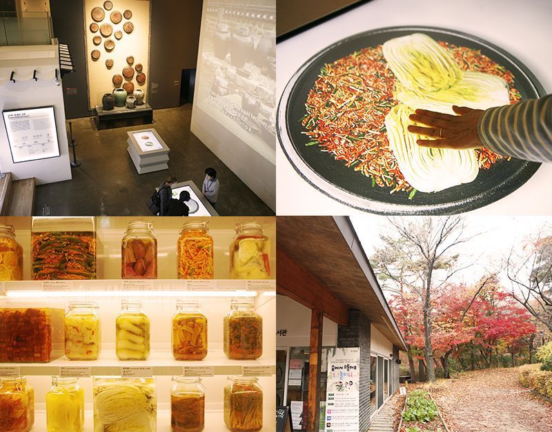 The story and experience of kimchi in one place, Seoul Museum Kimchi