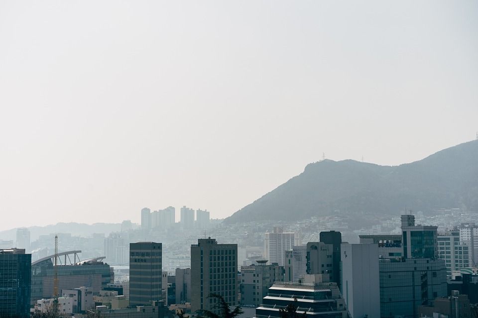 Immerse Yourself in Busan’s Vibrant Korean Culture on a 7-Day Adventure