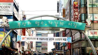 From Temples to Seafood: The Best of Busan, South Korea