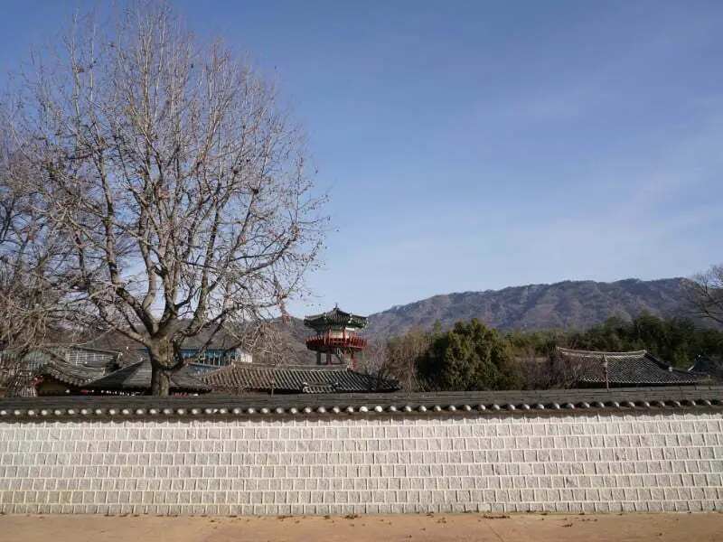 Exploring the Rich History of Gyeongsangnam-do Iron Horse Park
