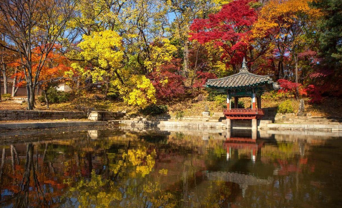 Witnessing the Changing Colors of Autumn in Sokcho Seoraksan National Park