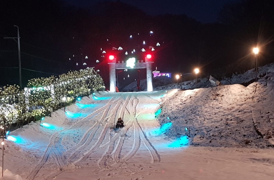 Discover the Gonigol Light Festival in Wonju: A Winter Wonderland of Lights and Culture / ウォンジュでのゴニゴル光の祭りを発見：光と文化の冬のワンダーランド